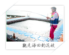 觀光海田釣花枝