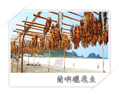 蘭嶼曬飛魚