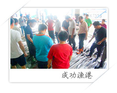 成功漁港