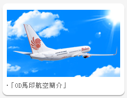 馬印航空簡介