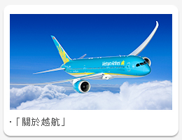 關於越南航空