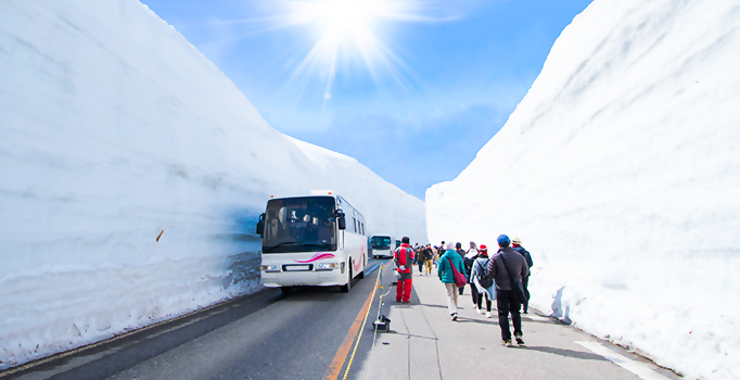 全球旅客趨之若鶩的雪之大谷奇觀!