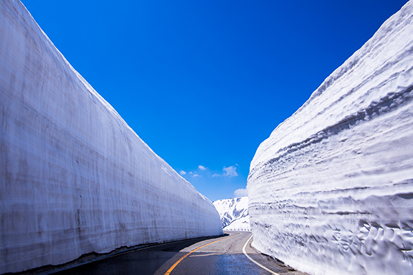 立山黑部雪牆