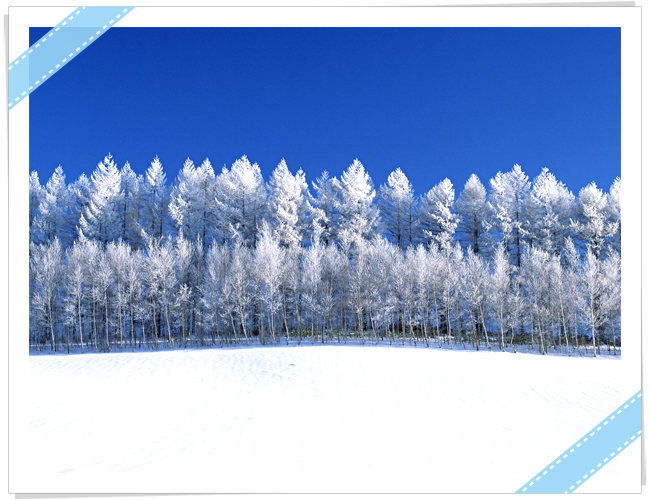 北海道滑雪