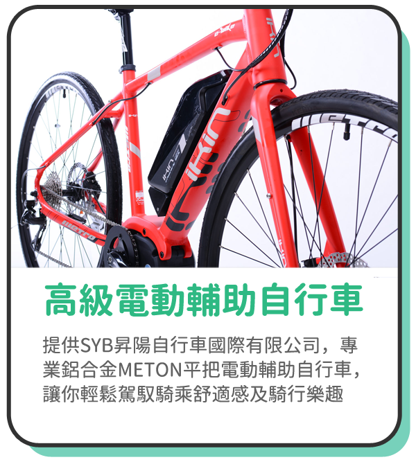 高級電動補助自行車